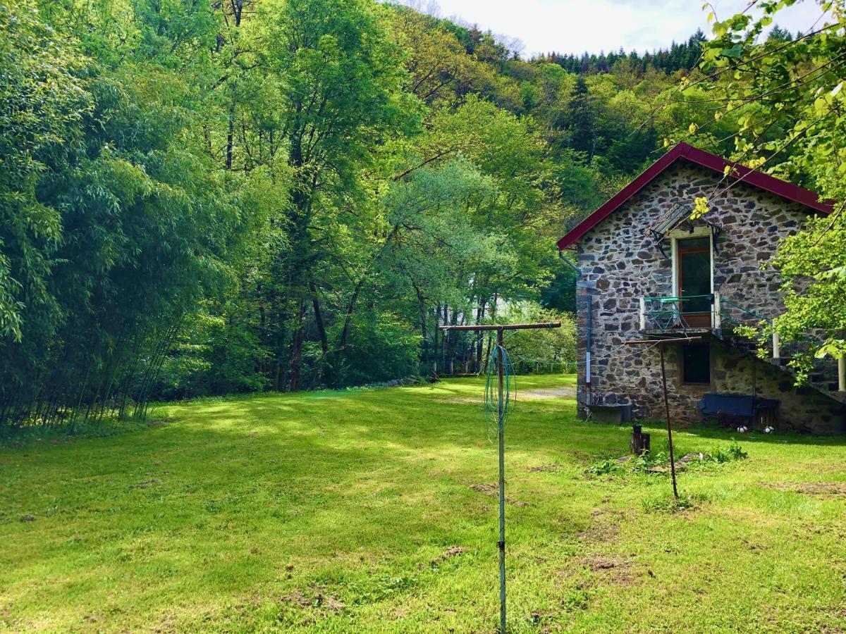 Domaine De Bourbacoup Daire Tulle Dış mekan fotoğraf