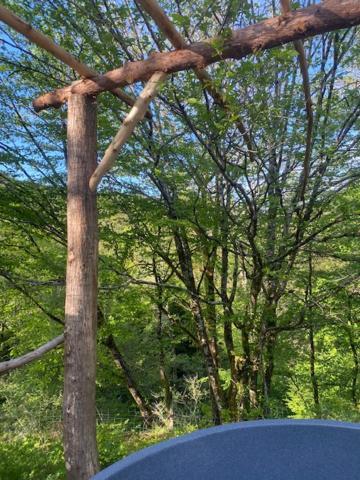 Domaine De Bourbacoup Daire Tulle Dış mekan fotoğraf